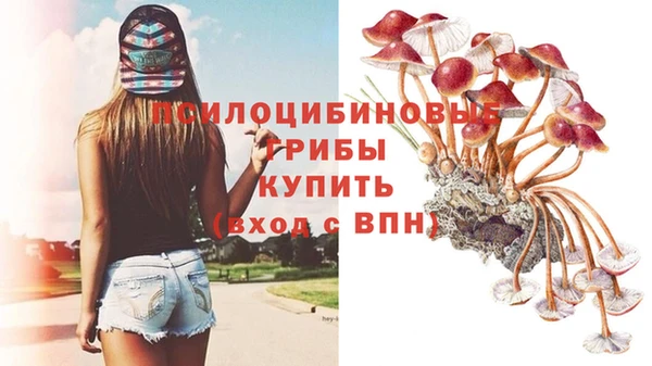 твердый Богородск
