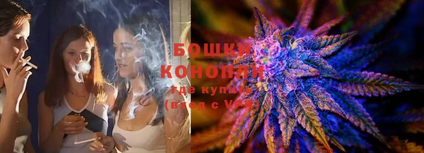 твердый Богородск