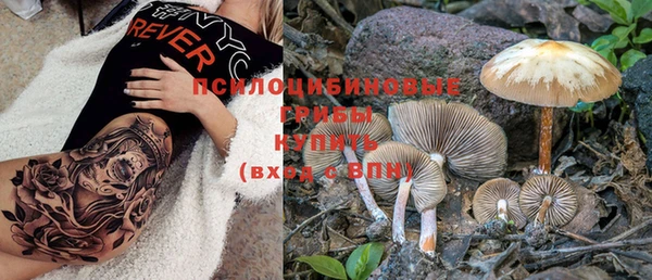 хмурый Богданович
