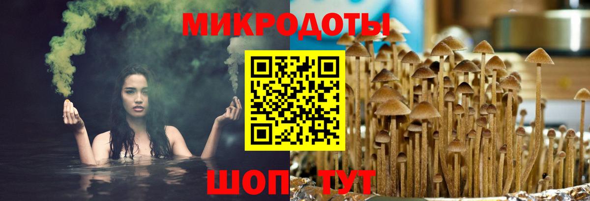 Богородицк  Галлюциногенные грибы ЛСД  Вход с VPN  Галлюциногенные грибы Magic Shrooms 